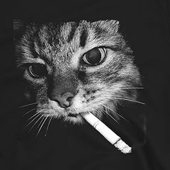 Bad Cat Attitude Tee | Smoking Cat Humor Shirt